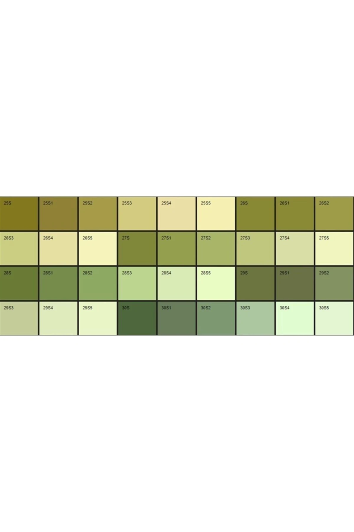 Filli Amphisilan 15 Lt Dış Cephe Boyası - Beyaz Renk