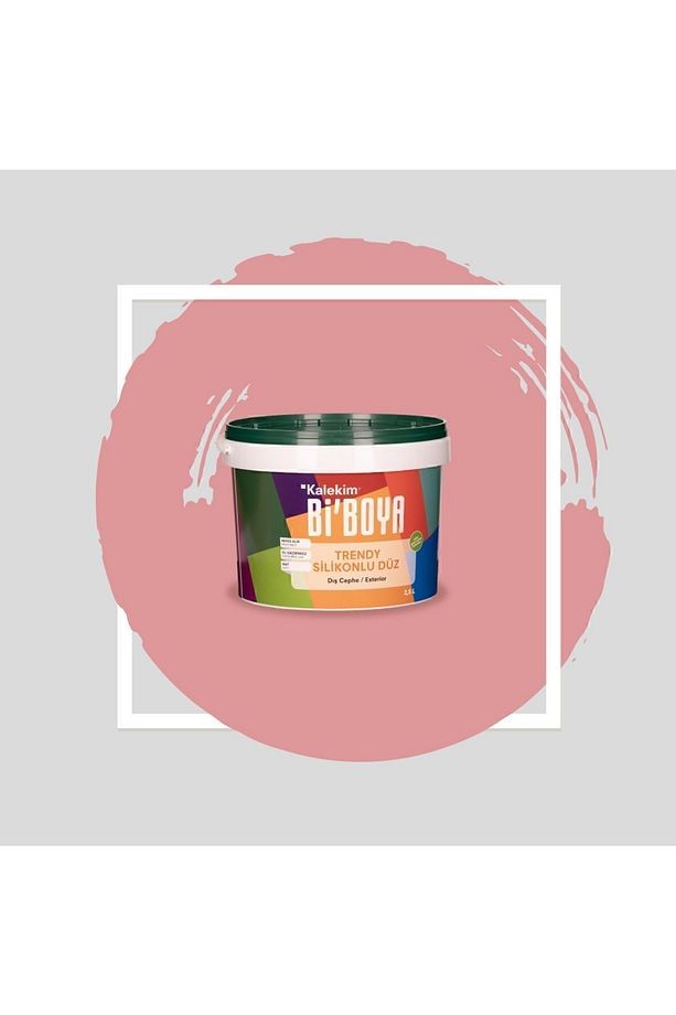 Silikonlu Dış Cephe Boyası 2.5 Lt 4163