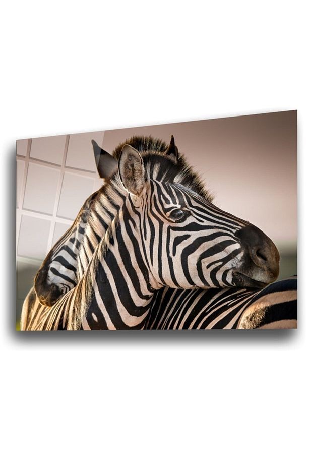Zebra Cam Tablo