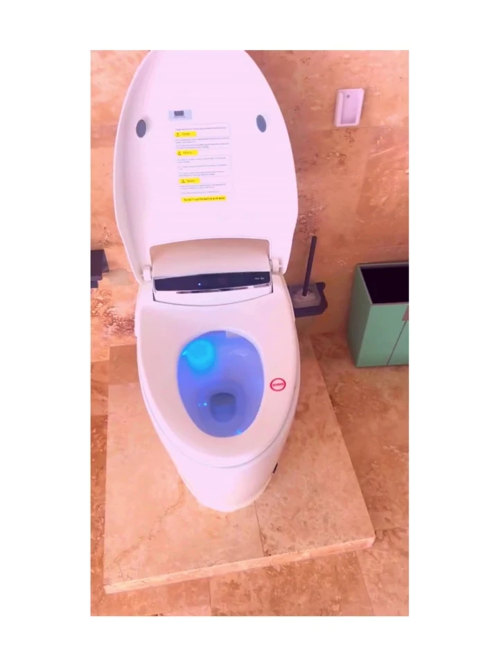 Akıllı Klozet (MONTAJ DAHİL) Isıtmalı Koltuk Kurutma Kendini Temizleme Otomatik Yıkama Led Ekranlı
