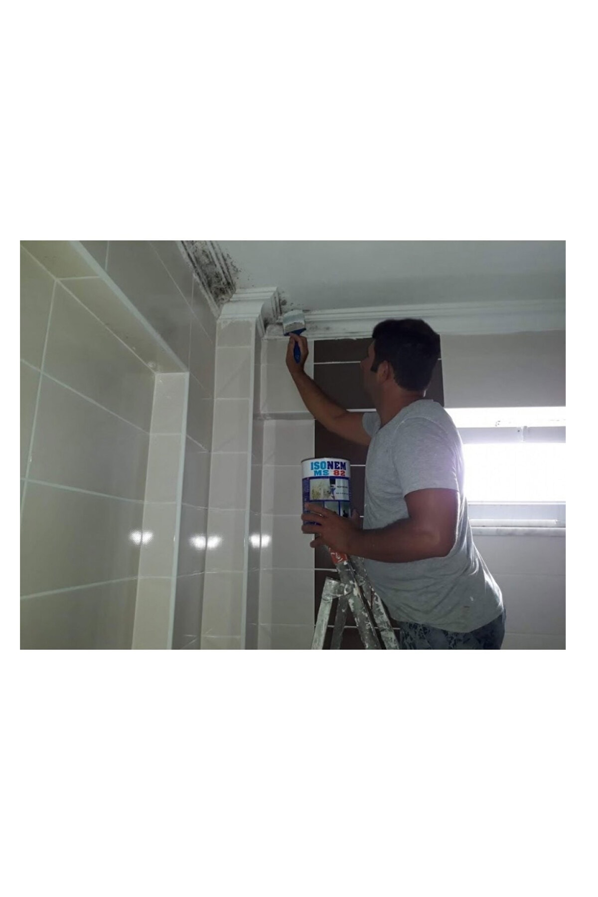 MS82 Rutubet ve Nem Boyası 5 Kg