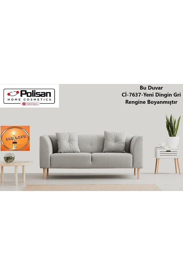 -Elegans -Silinebilir -Küf Önleyici -Antibakteriyel-İç Cephe Duvar Boyası