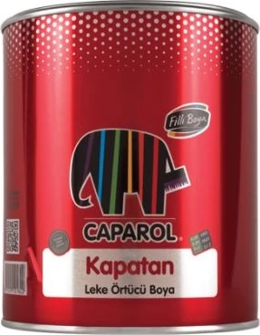 Leke Örtücü Boya Kapatan 2.5lt