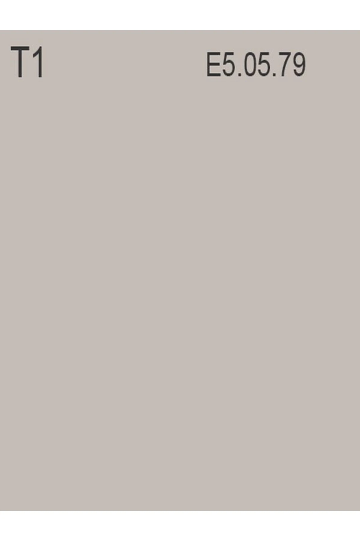 Akrikor Elastomerik Boya T1 2.5 Lt