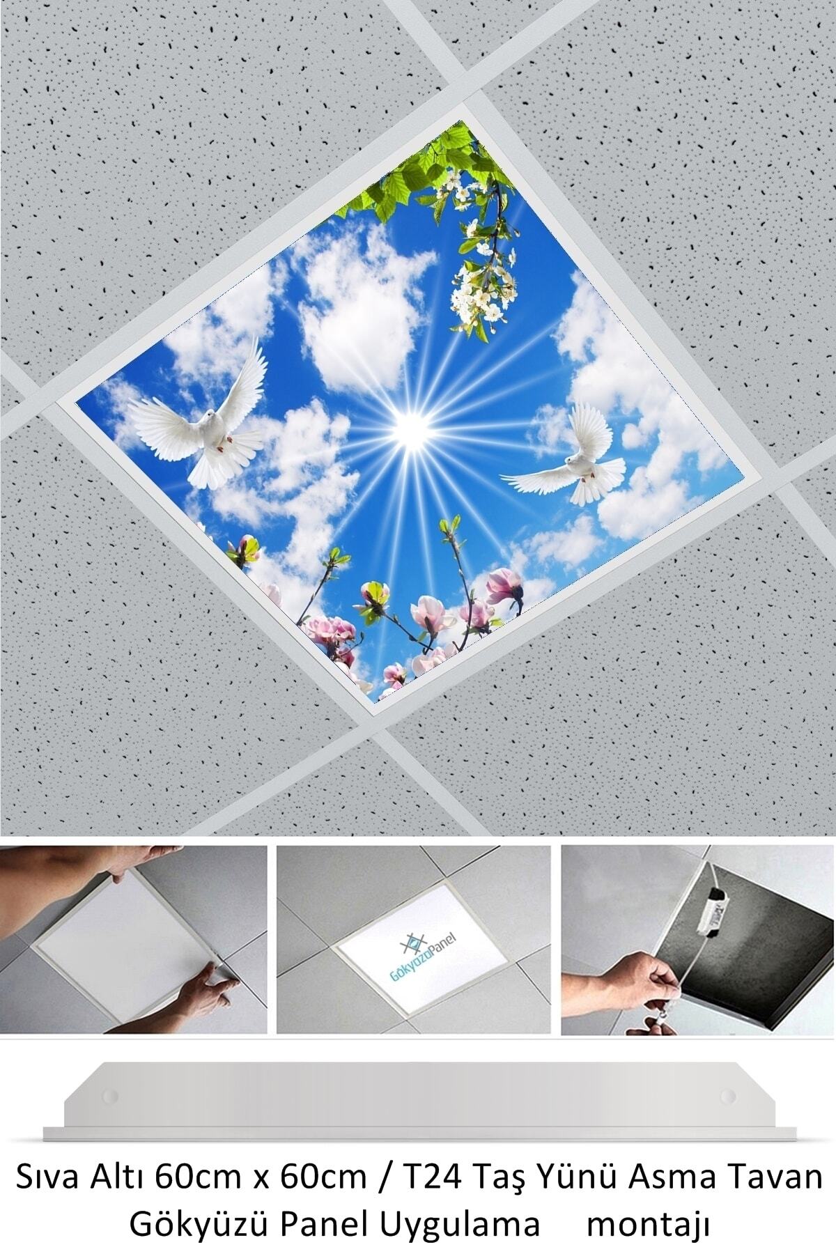 Asma Tavan-60cmx60cm-sıva Altı-54w-6500 K-beyaz-led Panel-led Armatür-taş Yünü Asma Tavan-ofis Tavan