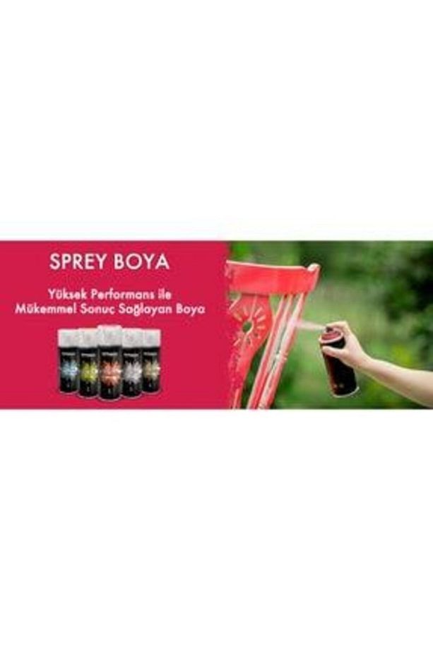 Oto Jant Alüminyum Sprey Boya