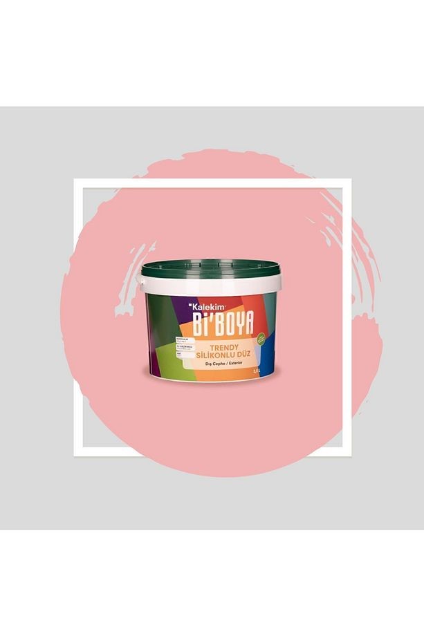Silikonlu Dış Cephe Boyası 2.5 Lt 4161