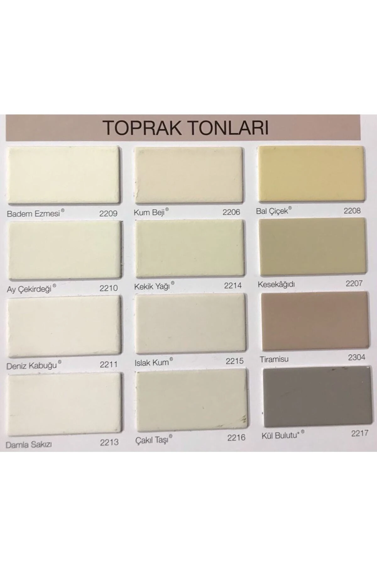 Silikonlu Özel Mat Tam Silinebilir Iç Cephe Duvar Boyası - 15 Lt. ) - Badem Ezmesi Rengi