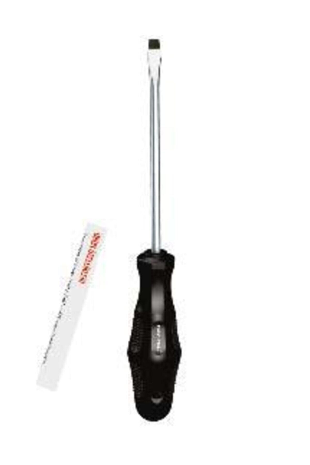 BAYTEC Bay-tec 6*100 mm Düz Tekli Tornavida