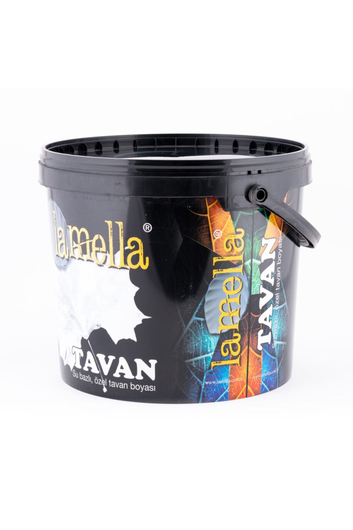 Su Bazlı Özel Tavan Boyası