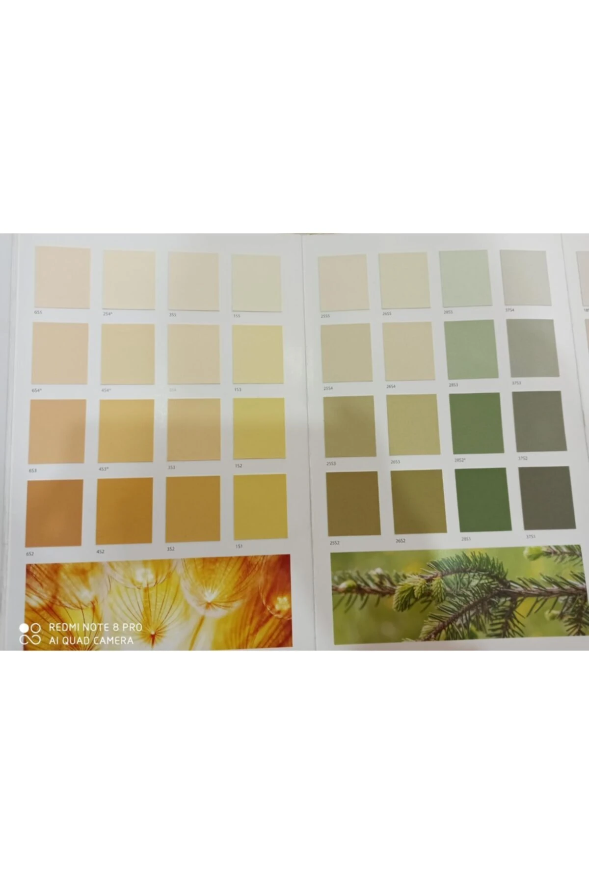 Filli Amphibolin Silk Rg1 15lt