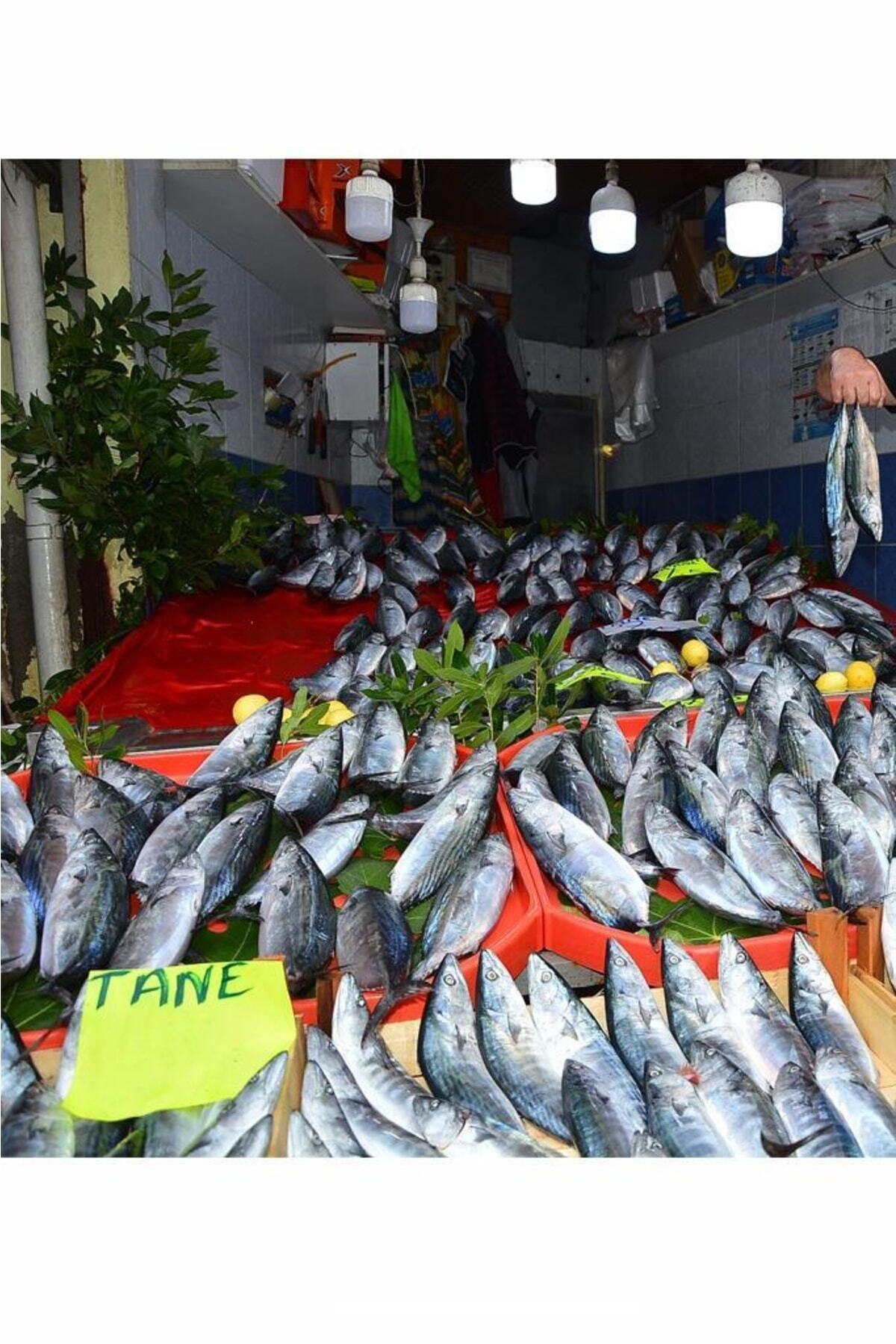 36w (197W) Büyük Led Ampul Beyaz Jumbo Torch Ampul E27 Duy 18,6 Cm