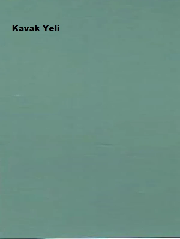 Pastel Yarı Mat Boyası Kavak Yeli 0,75 Lt (1 Kg)