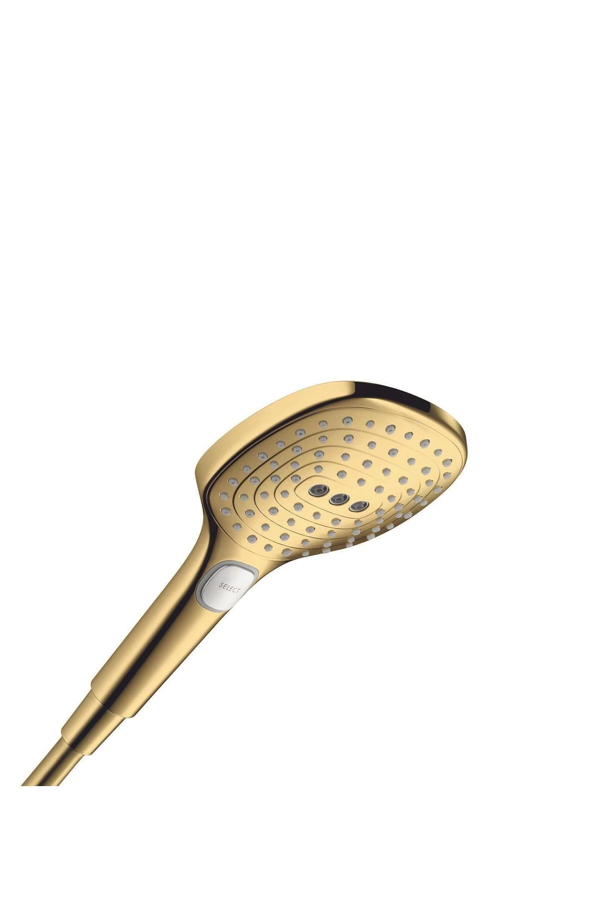 Raindance® Select E El duşu 120 3jet Parlak alt