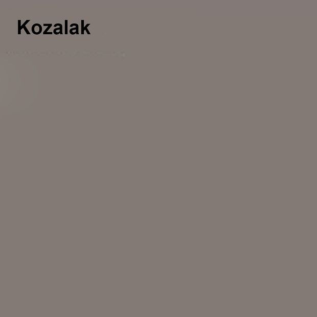Pastel Yarı Mat Boyası Kozalak 2,5 Lt (3,5 LT)