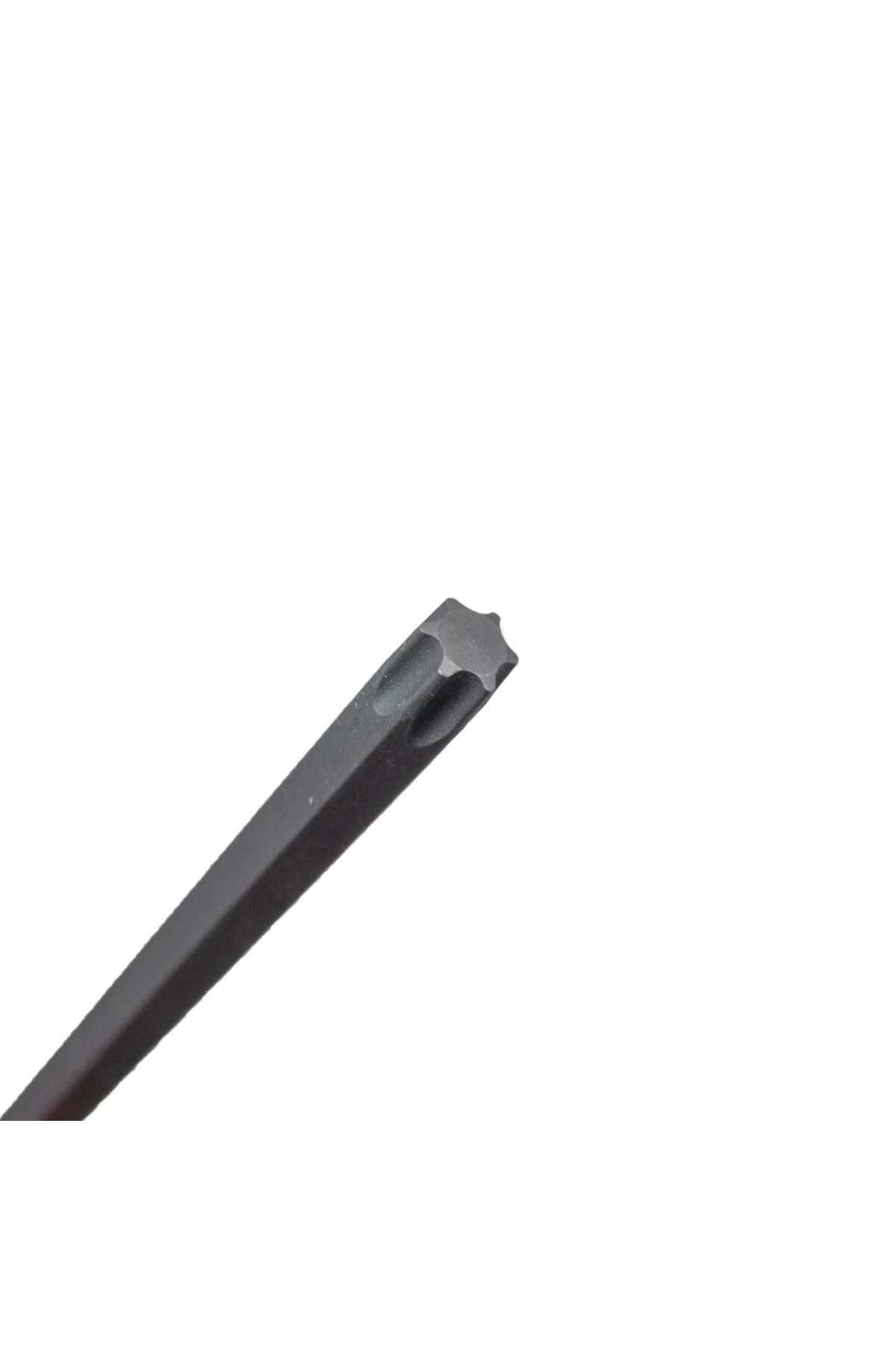 4885211040 Uzun Torx Bits Uç T40x100 mm