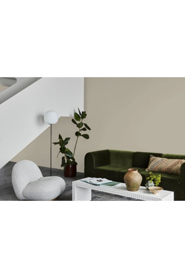 Lucerne 1563 Fenomastic Zen 1LT