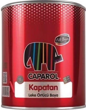 Filli Kapatan Boya 0,25