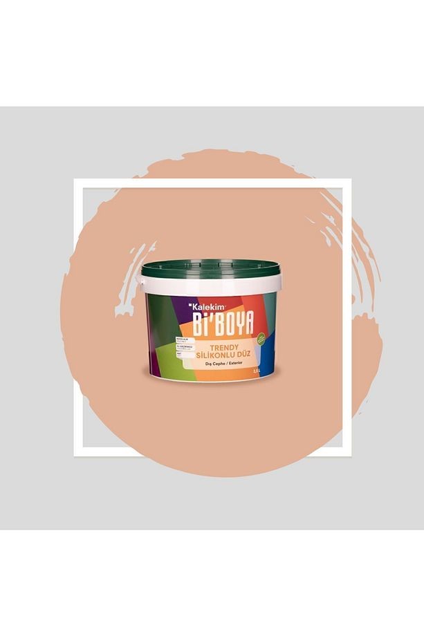 Silikonlu Dış Cephe Boyası 2.5 Lt 4172