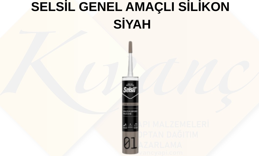 Genel Amaçlı Silikon Siyah 280 gr