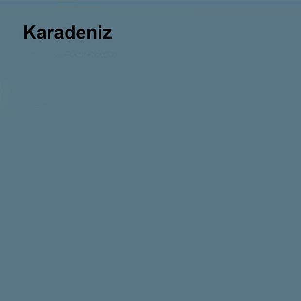 Pastel Yarı Mat Boyası Karadeniz 2,5 Lt (3,5 LT)