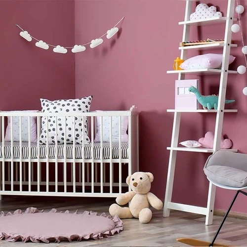 Tek Katta Örten Boya Petunya