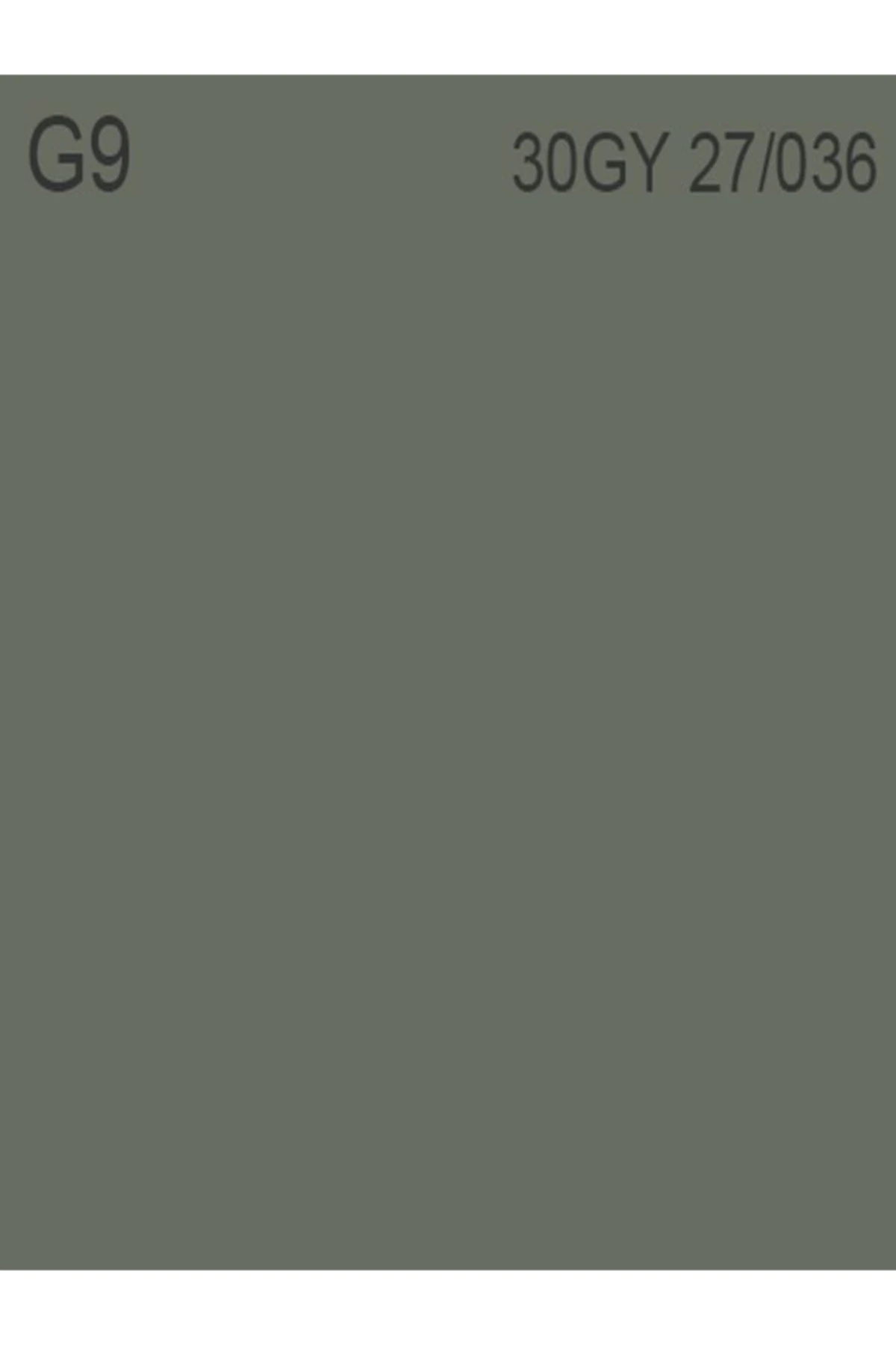 Akrikor Elastomerik Boya G9 2.5 Lt (3,5 Kg)