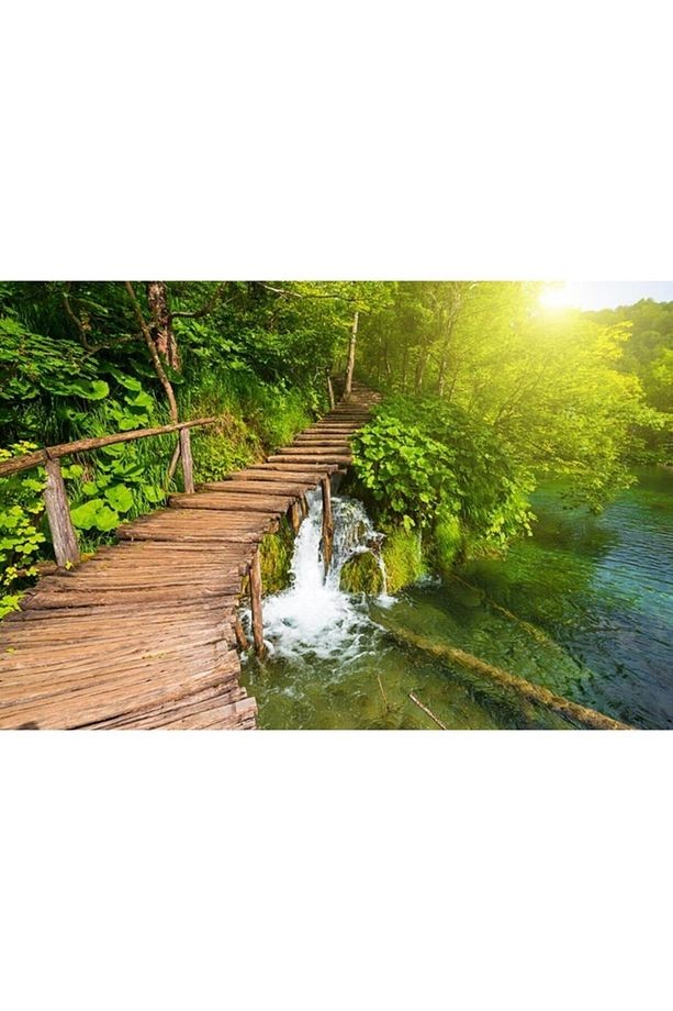 Ahşap Yol Ve Orman Manzarası Duvar Kağıdı