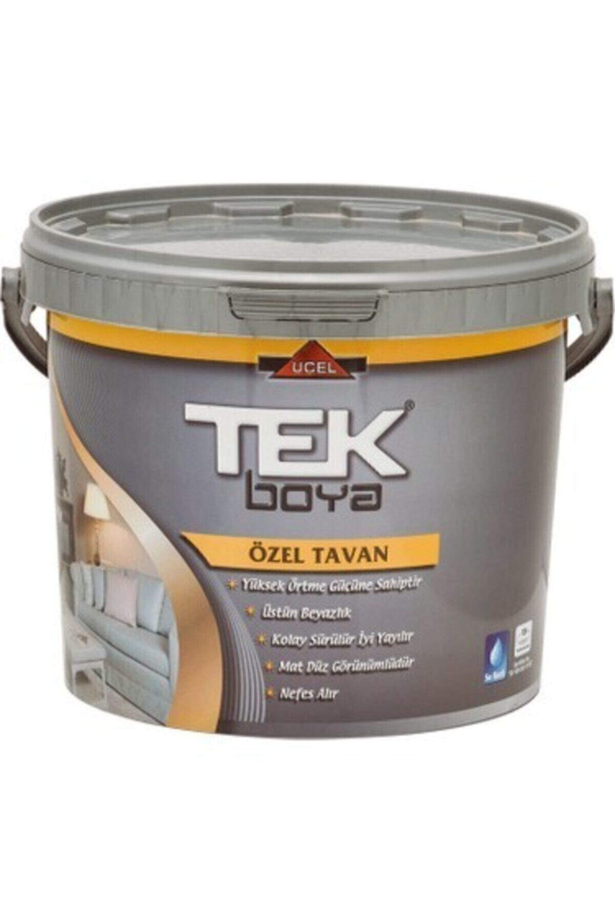 Tek Özel Tavan 20 Kg 11,5 Lt Beyaz