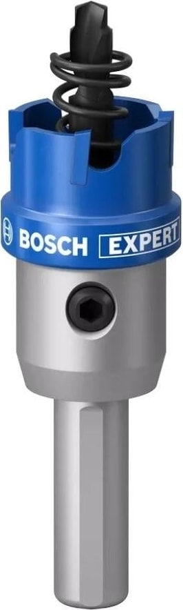 BOSCH Expert Tct Elmas Uçlu Panç 22 mm