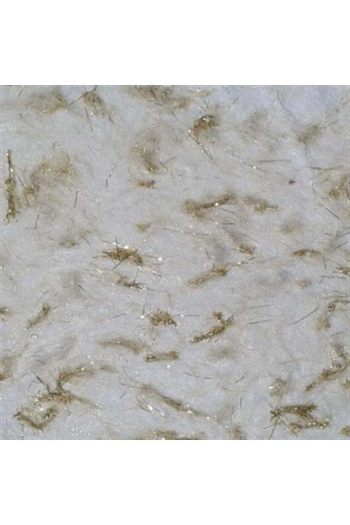 Canlı Dekorasyon Ve Yalıtım Sıvası Minsk 2001