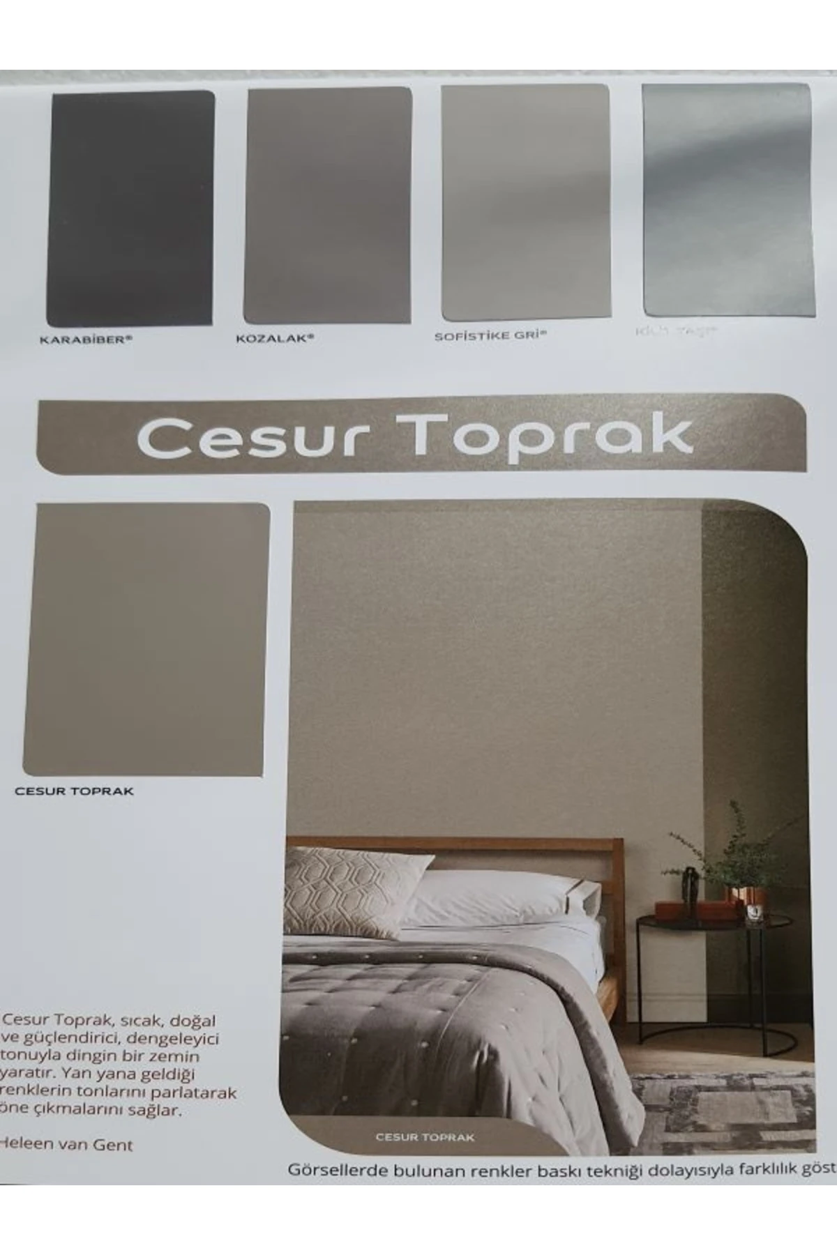 Silikonlu Özel Mat Boya Derya 2,5lt