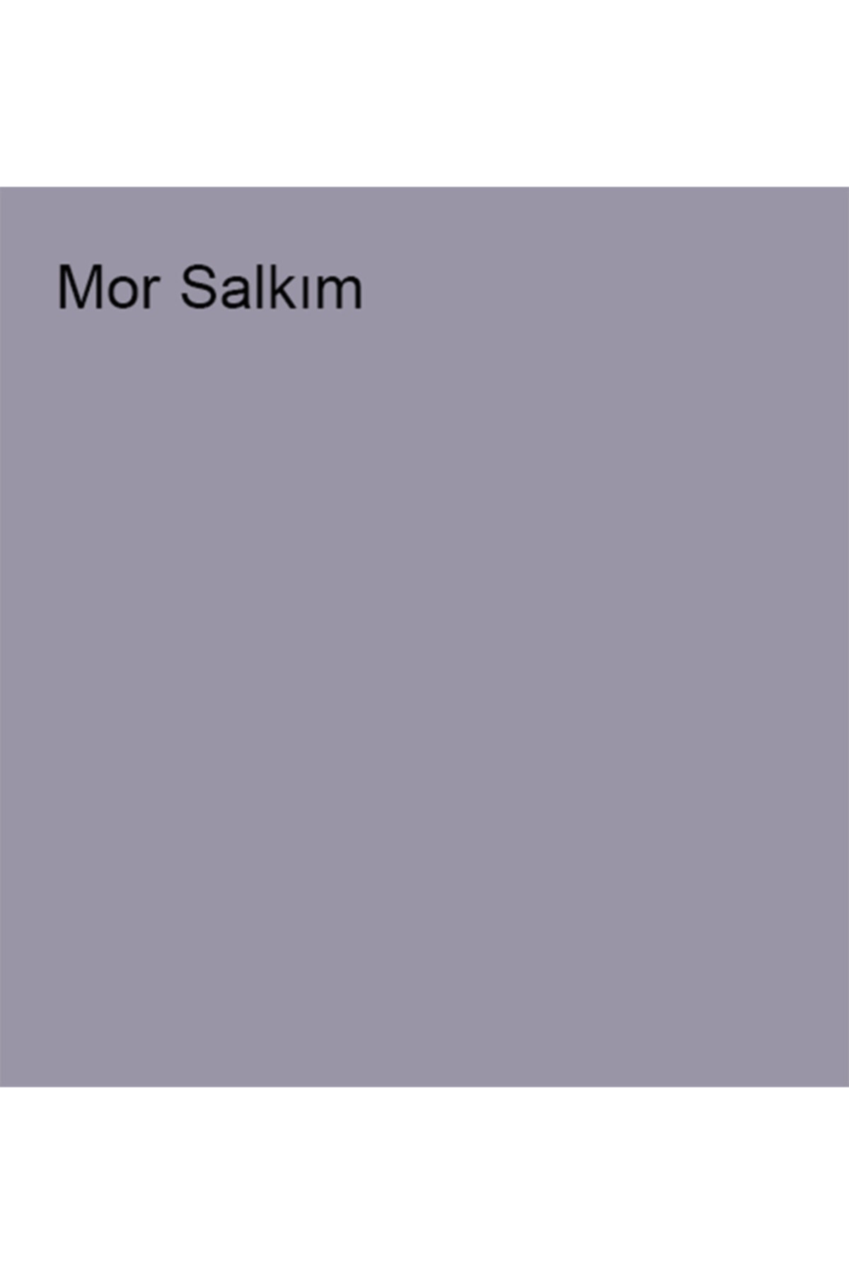 Plastik Mat Silinebilir Iç Cephe Boyası Mor Salkım 2,5 Lt (3,5 Kg)