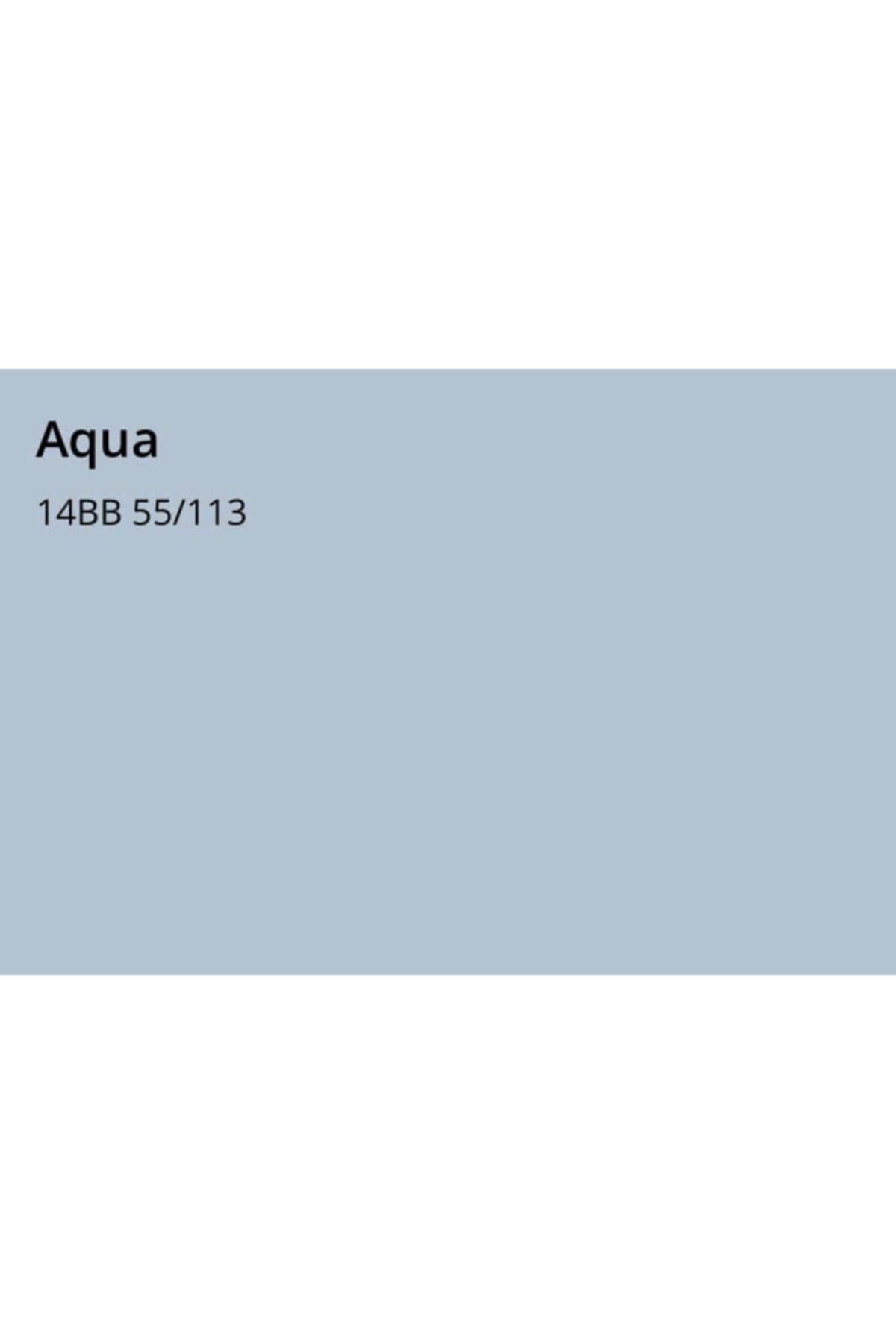 Maximum Silikonlu Ipek Mat Aqua 2,5 L