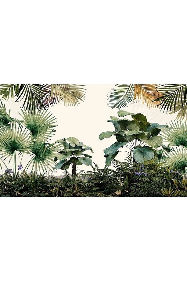 Tropikal Jungle Duvar Kağıdı