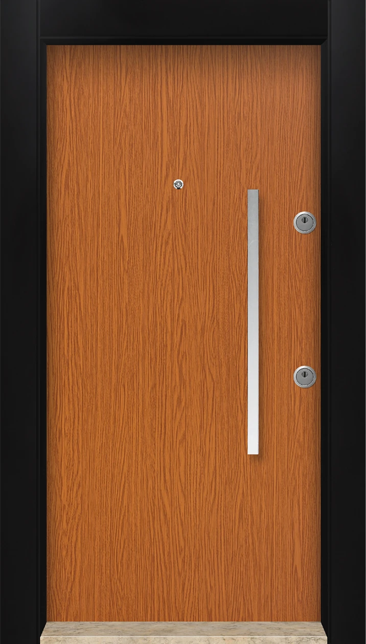 MN-6031 Dış Iklim Kapısı Yağmur'a ve Güneşe Dayanıklı Çelik Kapı