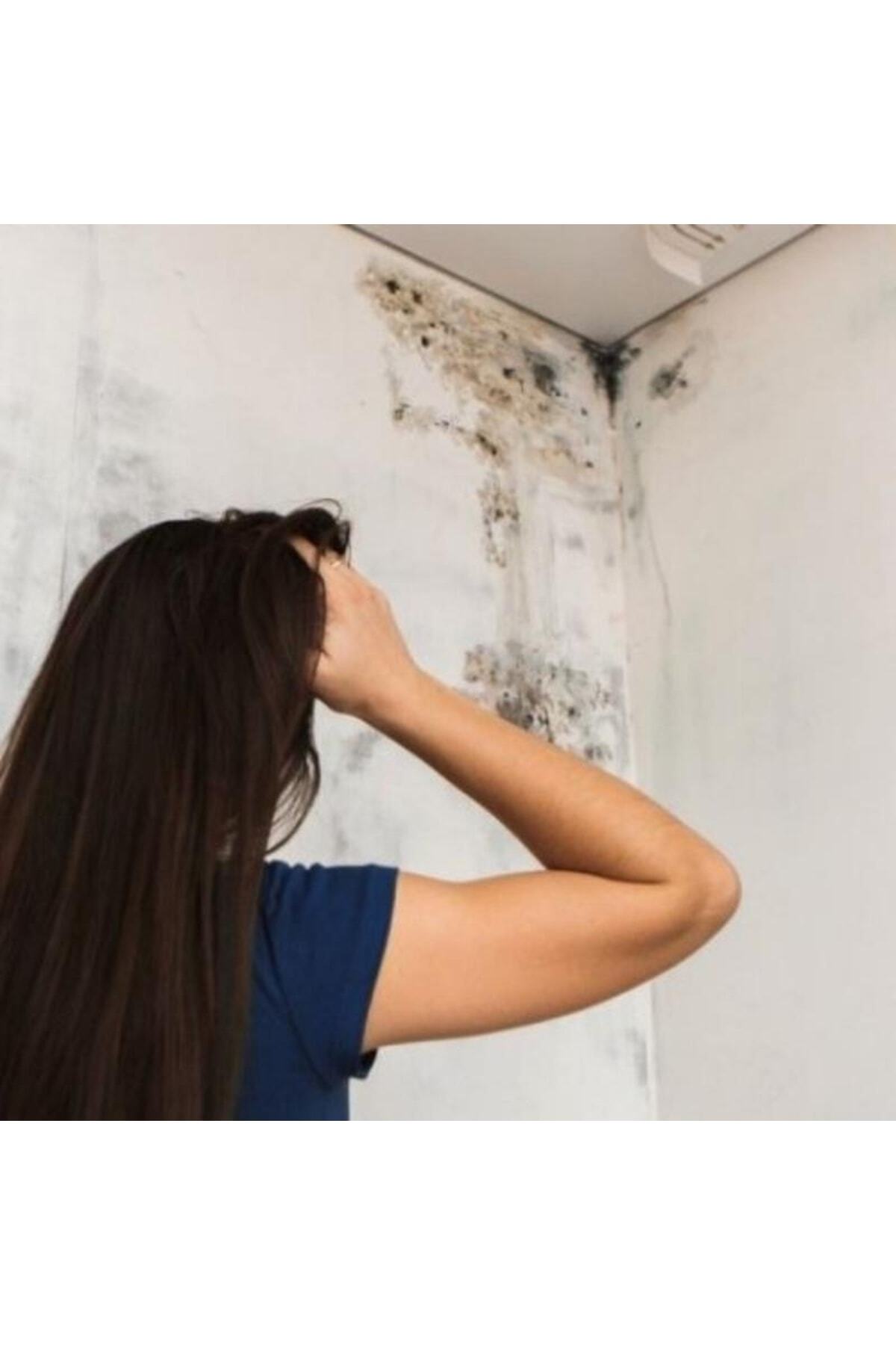 M 30 Küf Ve Rutubet Önleyici Anti-mould Paint- Beyaz- 3.5 Kg