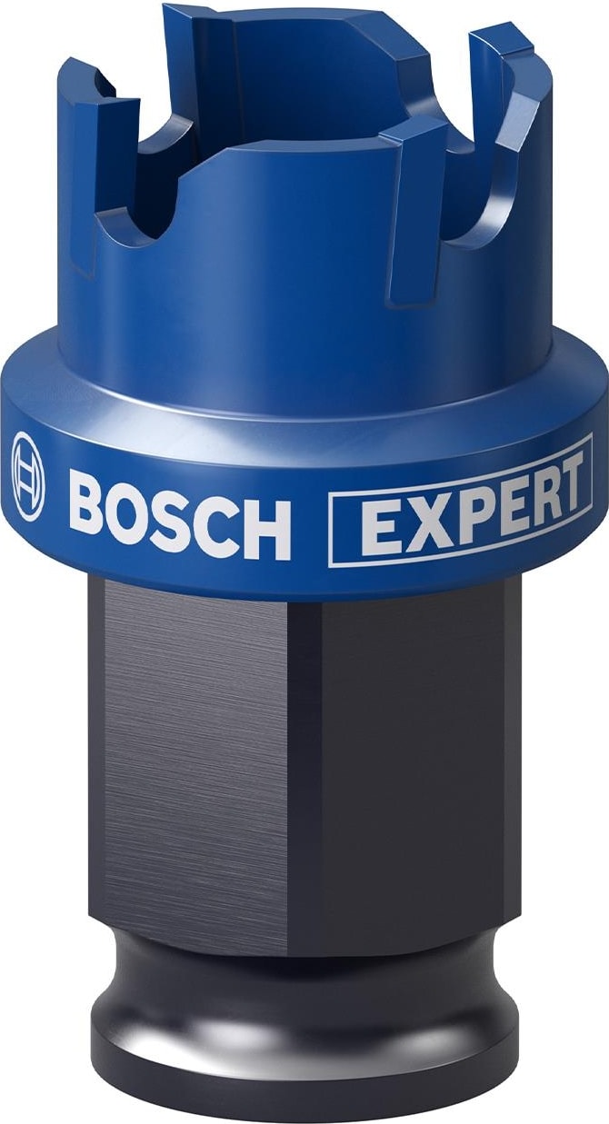 BOSCH Expert Sheet Metal Delik Açma Testeresi 22 x 5 mm