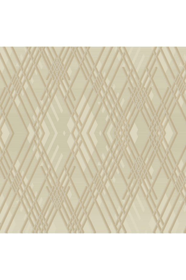 Octagon Geometrik Desenli Duvar Kağıdı 1213-3 (1213-3 / 10.0 MTR)