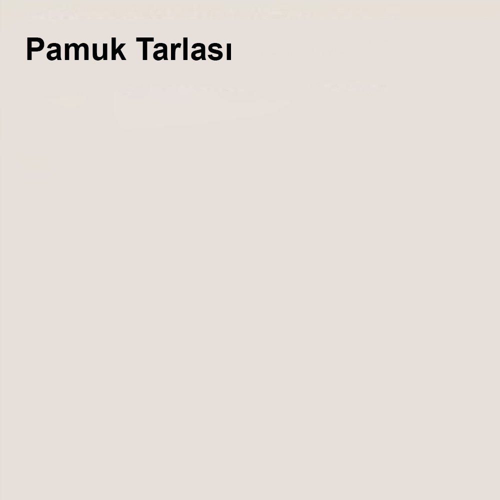Sil-Pak Pamuk Tarlası 2,5lt (3,5 Kg)