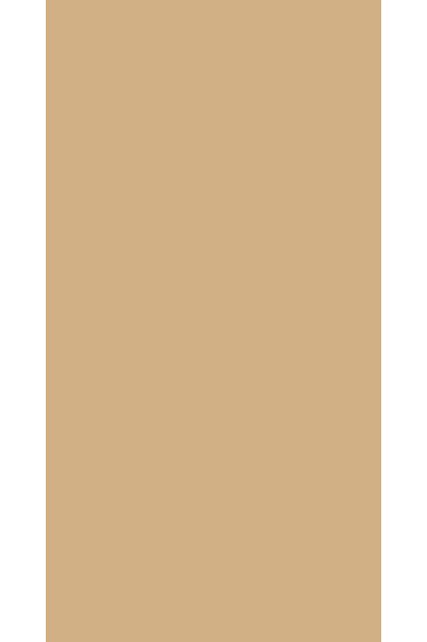 Aqua Pro RAL 1001 Beige Metal Boyası 0,9 LT