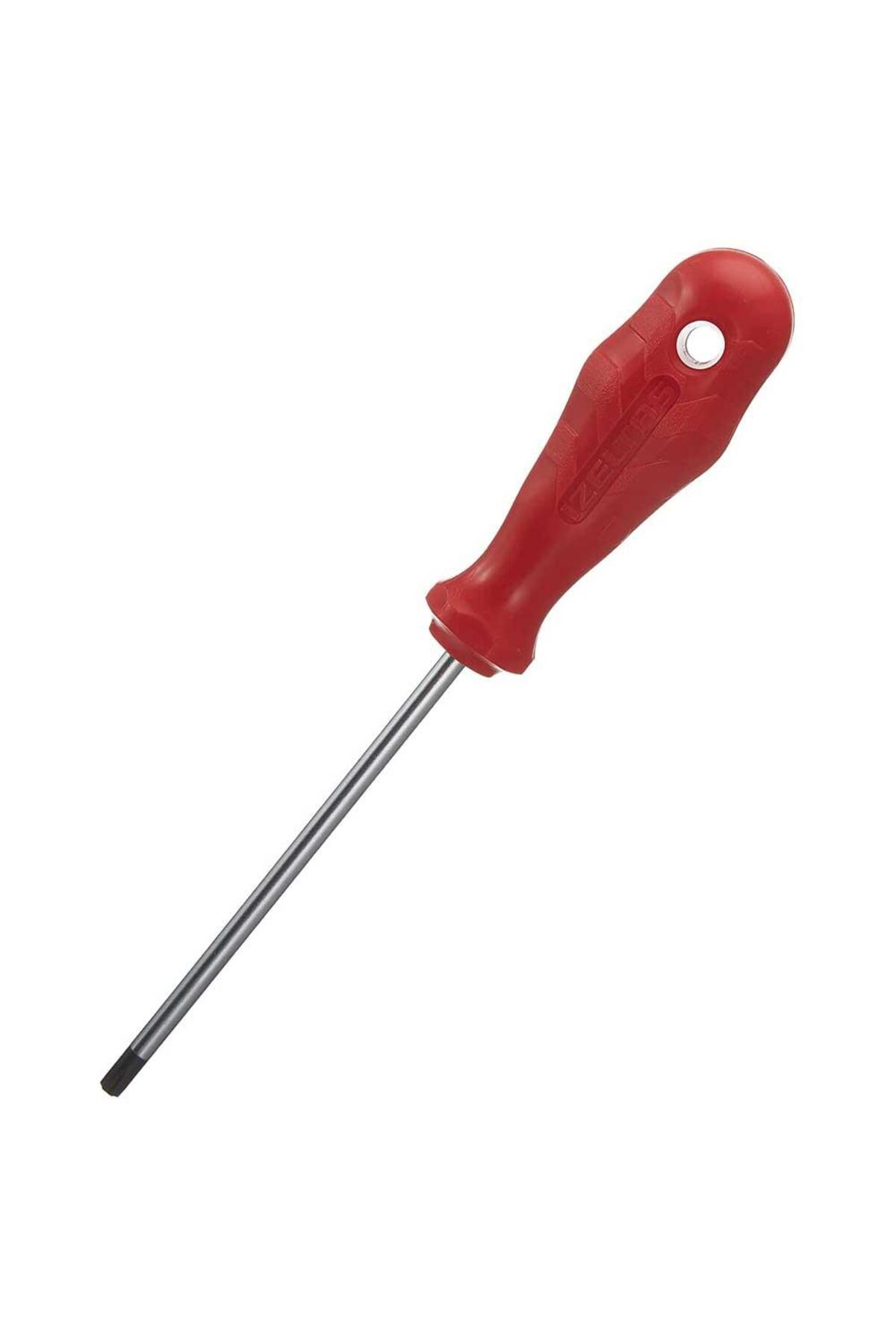 4776180010 Tornavida Delikli Torx Tr10