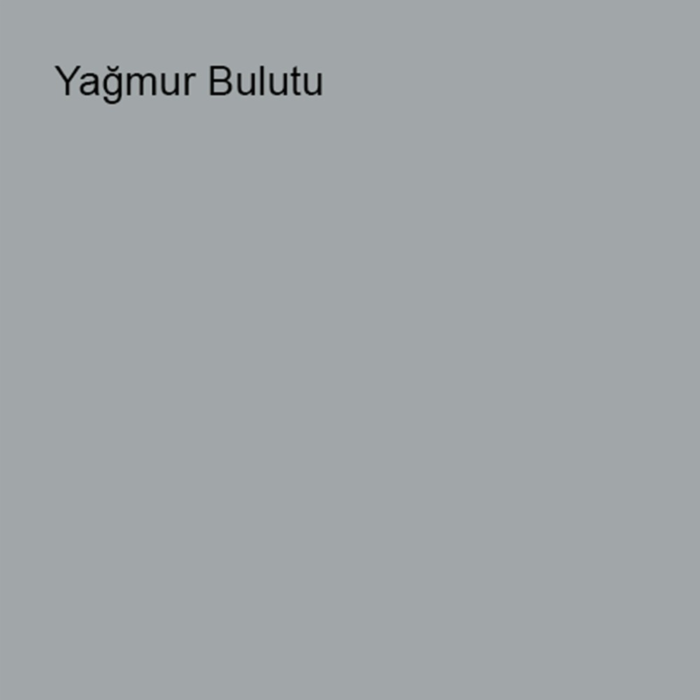 Silikonlu Özel Mat Yağmur Bulutu 0,75LT (1 kg)