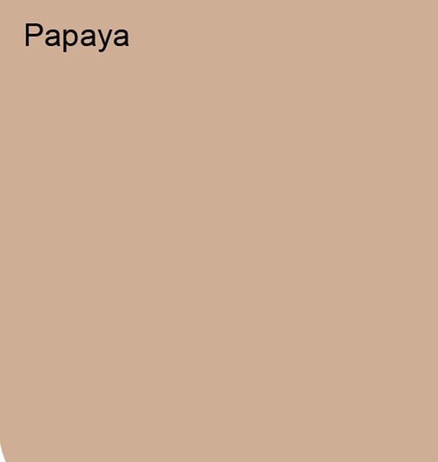 Pastel Yarı Mat Boyası Papaya 2,5 Lt (3,5 LT)