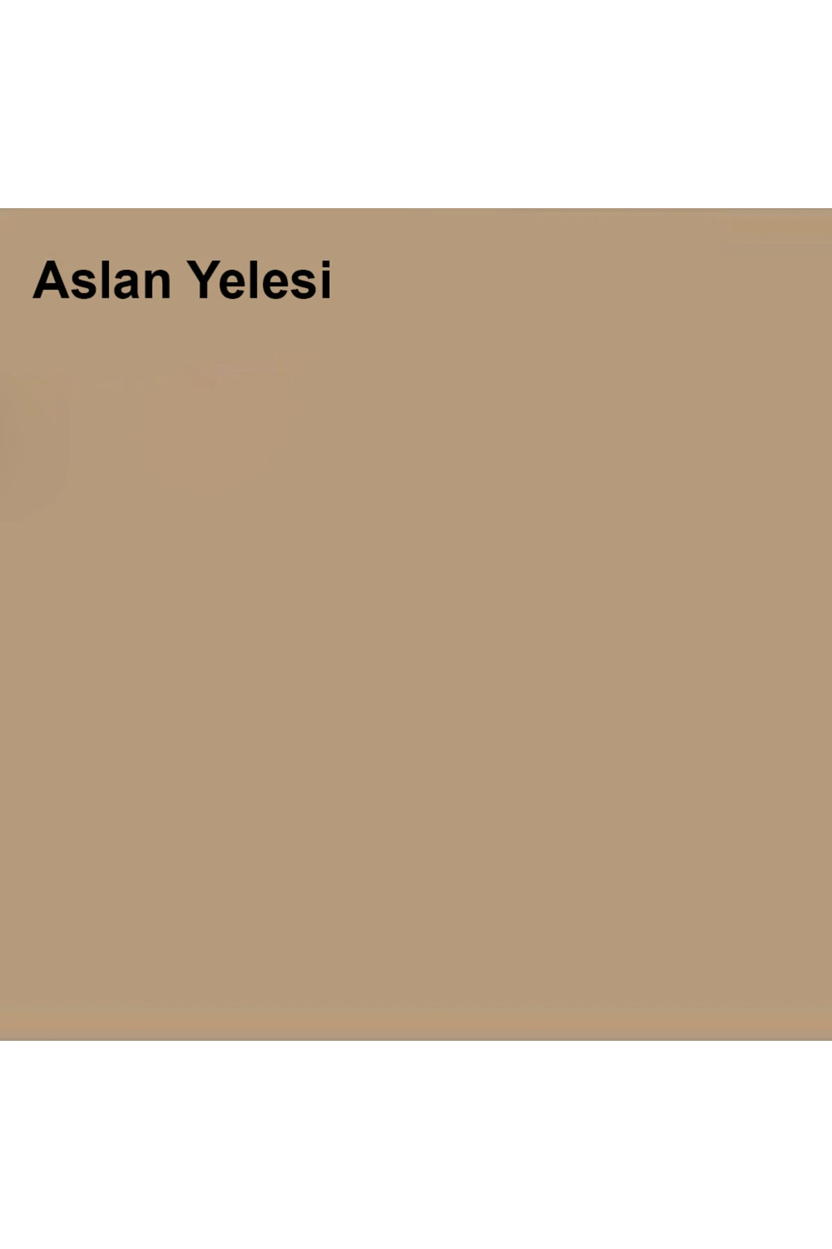 Antibakteriyel Hijyen Ipek Mat Iç Cephe Boyası Aslan Yelesi 2,5 Lt (3,5 KG)