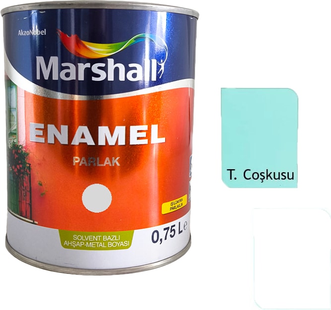 Enamel Sentetik Parlak Yağlı Boya 0.75 Lt Turkuaz Coşkusu