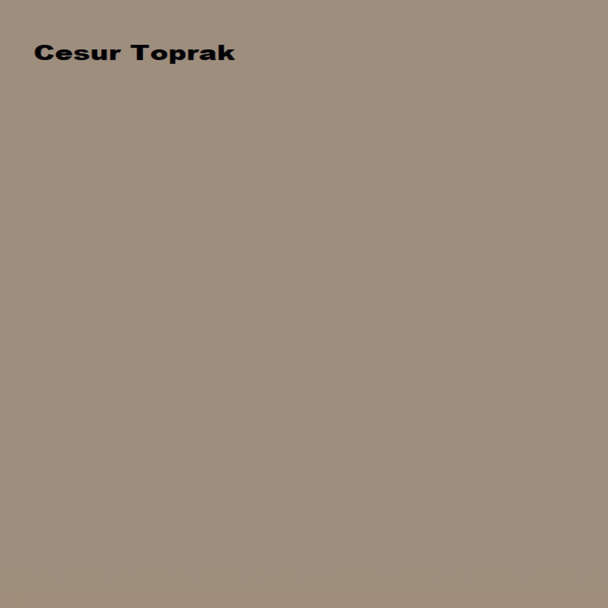 Maximum Silikonlu İpek Mat Cesur Toprak 7,5 lt. (10 kg)