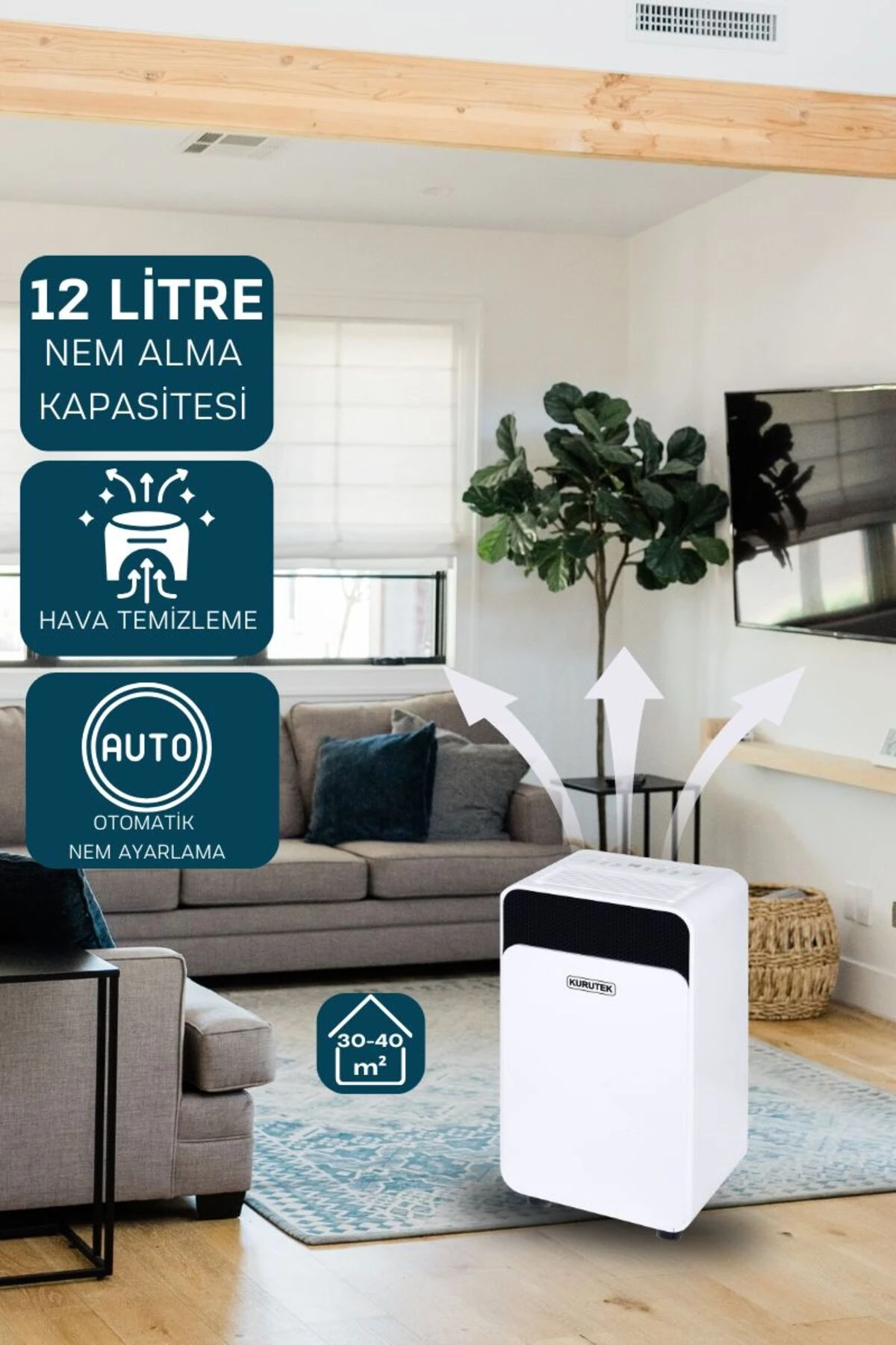 Nem Alma ve Hava Temizleme Cihazı Ev Tipi Kt12d