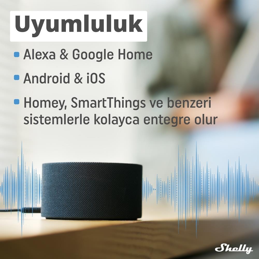 Plus 1 Wi-Fi ve Bluetooth Akıllı Röle