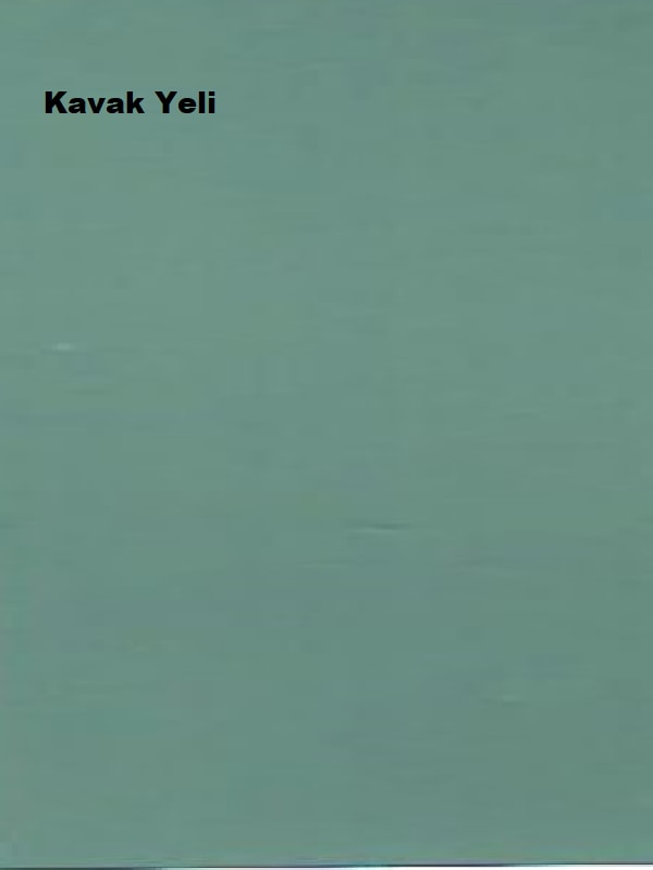Pastel Yarı Mat Boyası Kavak Yeli 2,5 Lt (3,5 Kg)